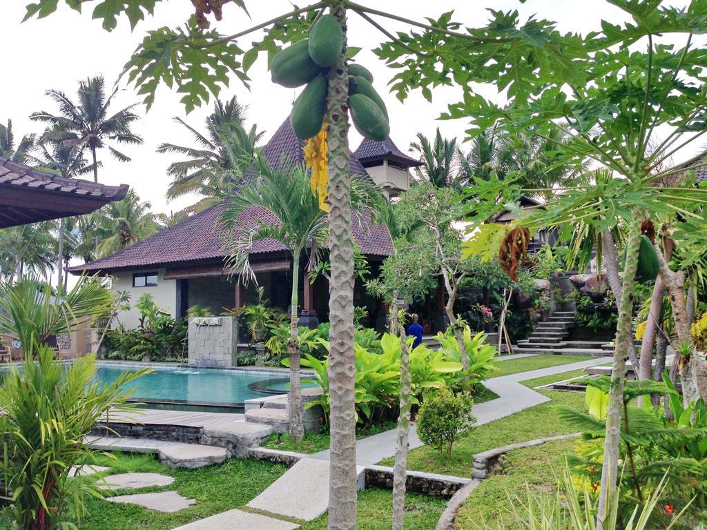 Masia Villa Ubud Luaran gambar