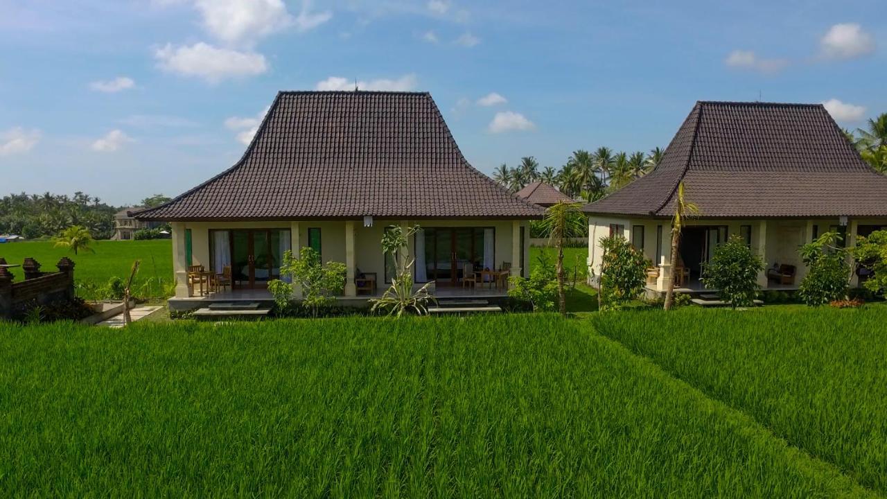 Masia Villa Ubud Luaran gambar